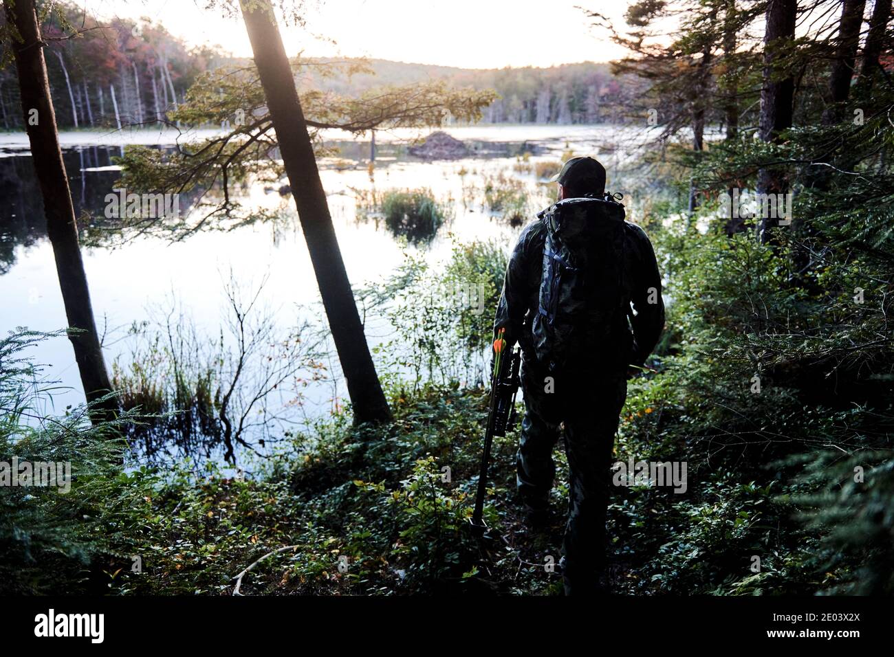 Kevin bear hunting in the Berkshires of Massachusetts Stock Photo Alamy