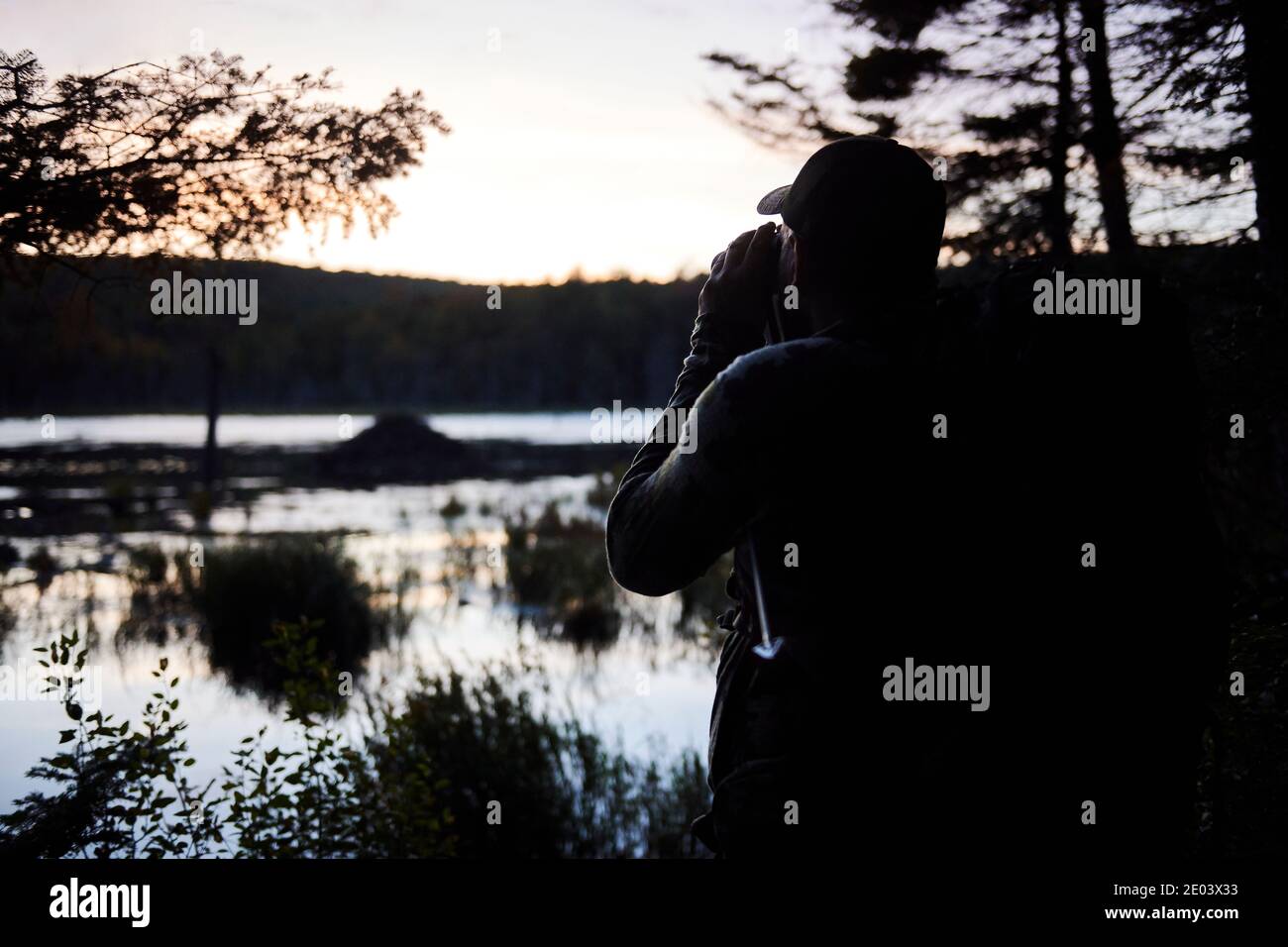 Kevin bear hunting in the Berkshires of Massachusetts Stock Photo Alamy