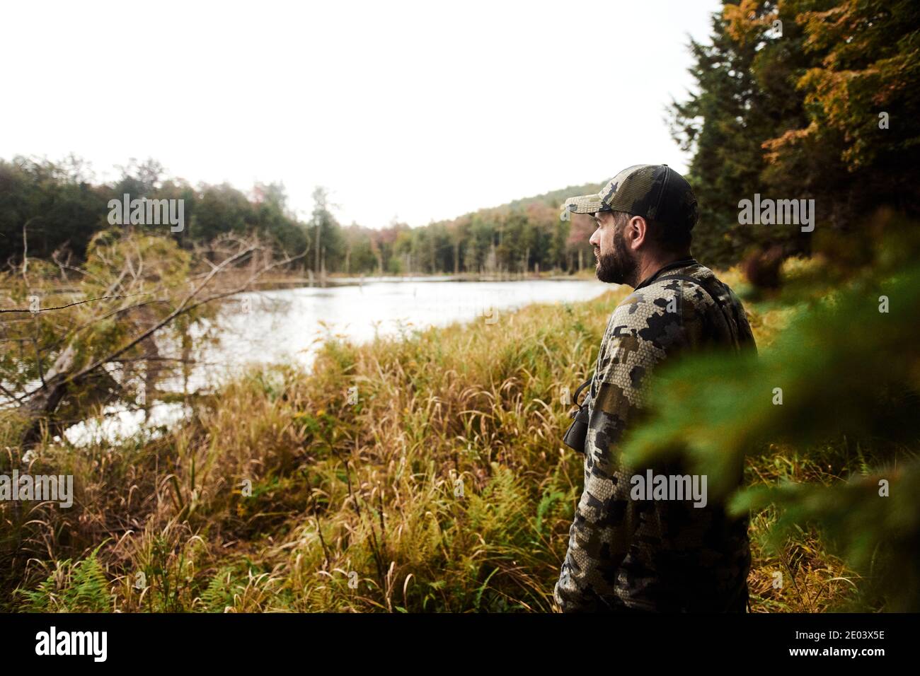 Kevin bear hunting in the Berkshires of Massachusetts Stock Photo Alamy
