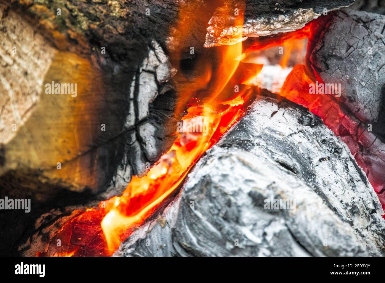 Closeup of campfire, burning wood, at a tourist campsite in England Stock Photo