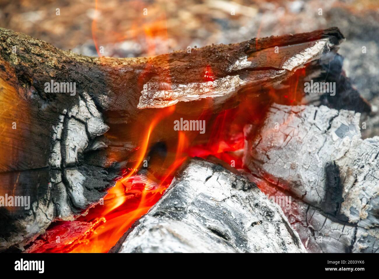 Closeup of campfire, burning wood, at a tourist campsite in England Stock Photo