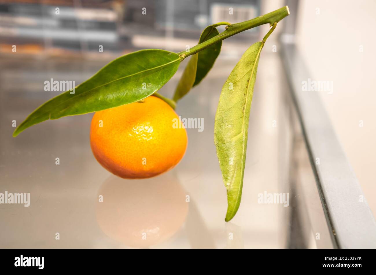 Mandarin with green leaf isolated on white background Stock Photo