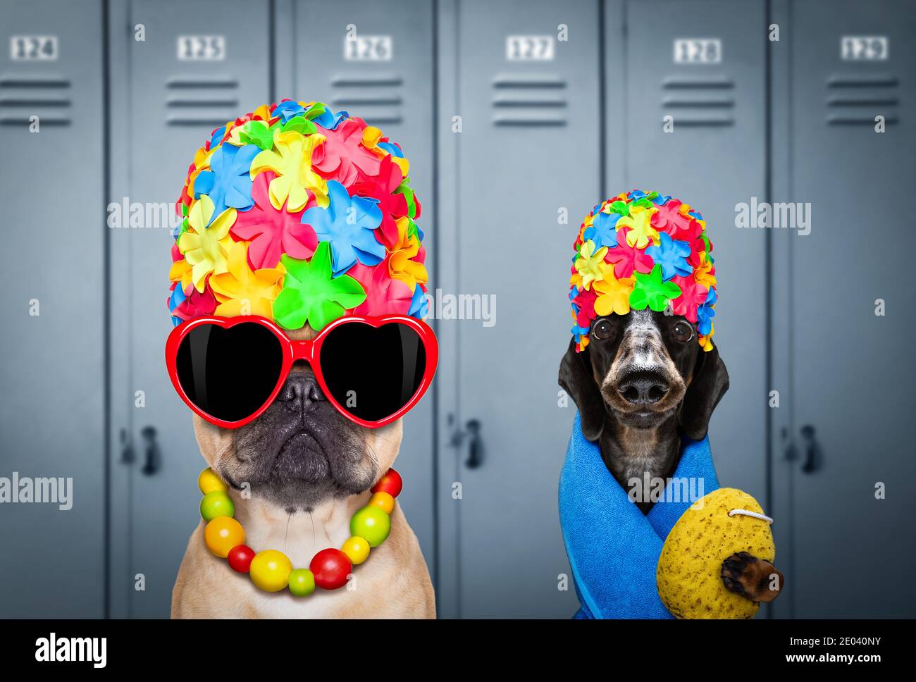 winning team or group of dogs , with swim cap and goggles with rubber