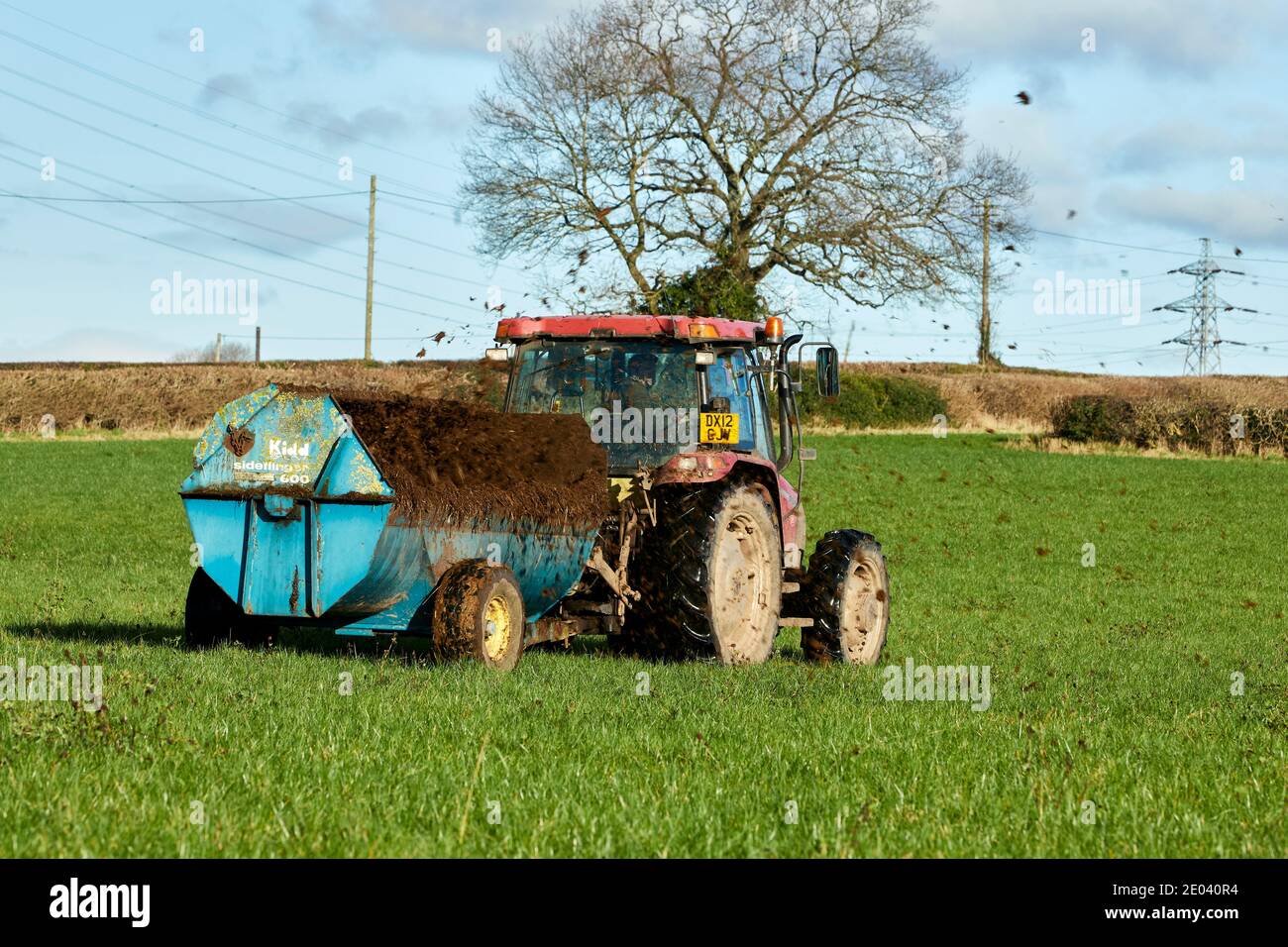 Case JXU 105 Tractor Spreading Muck with a Kidd Sideslinger 600 Stock Photo
