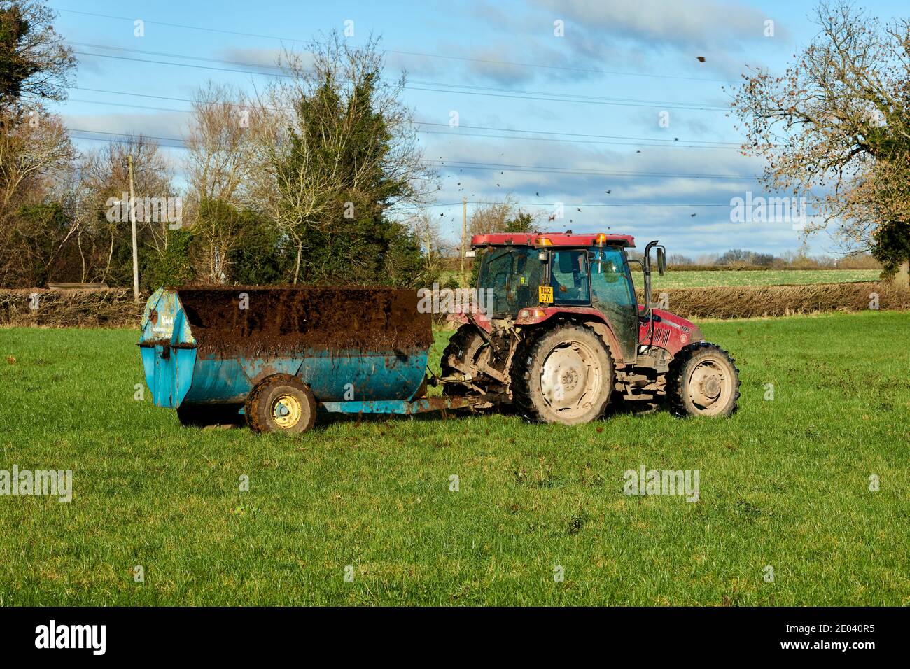 Case JXU 105 Tractor Spreading Muck with a Kidd Sideslinger 600 Stock Photo