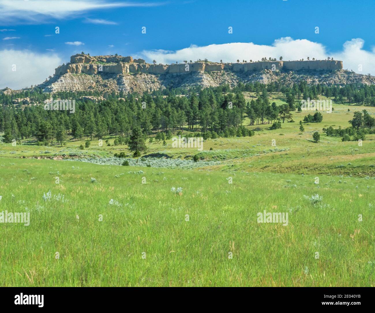 butte and grasslands in the bull mountains near billings, montana Stock