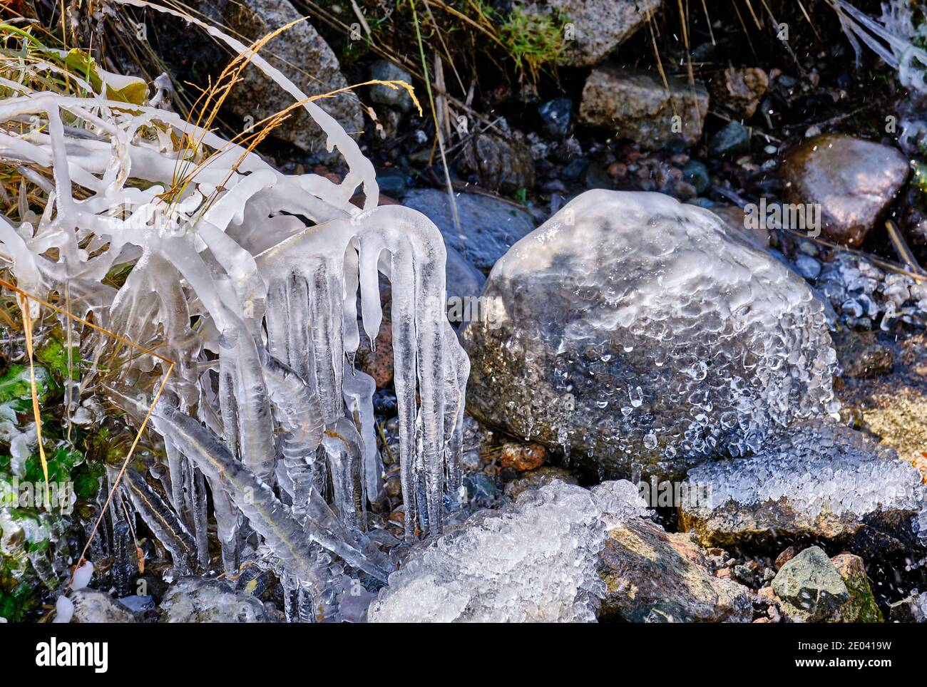 Autumn grass covered with shiny beautiful ice in close proximity to the river; first autumn frosts and approaching winter concept Stock Photo
