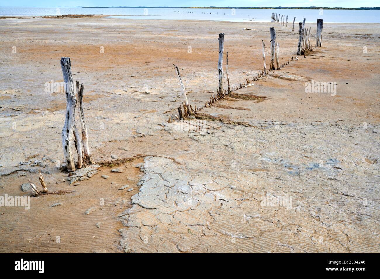 Remnants of an old wooden fence on the shore of the Coorong, South Eastern South Australia. Stock Photo