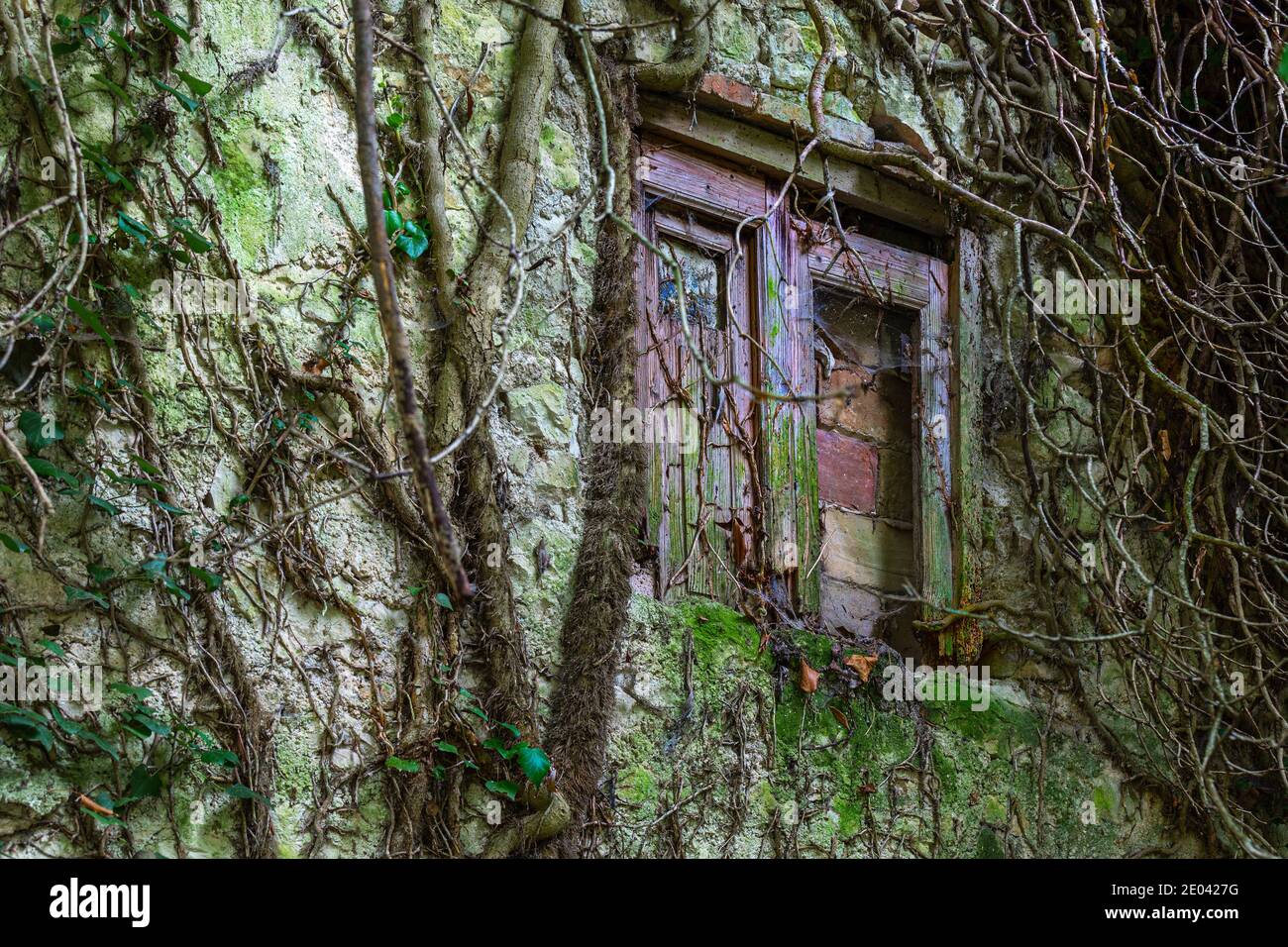 Ruins of old houses of an ancient village lost in the woods Stock Photo