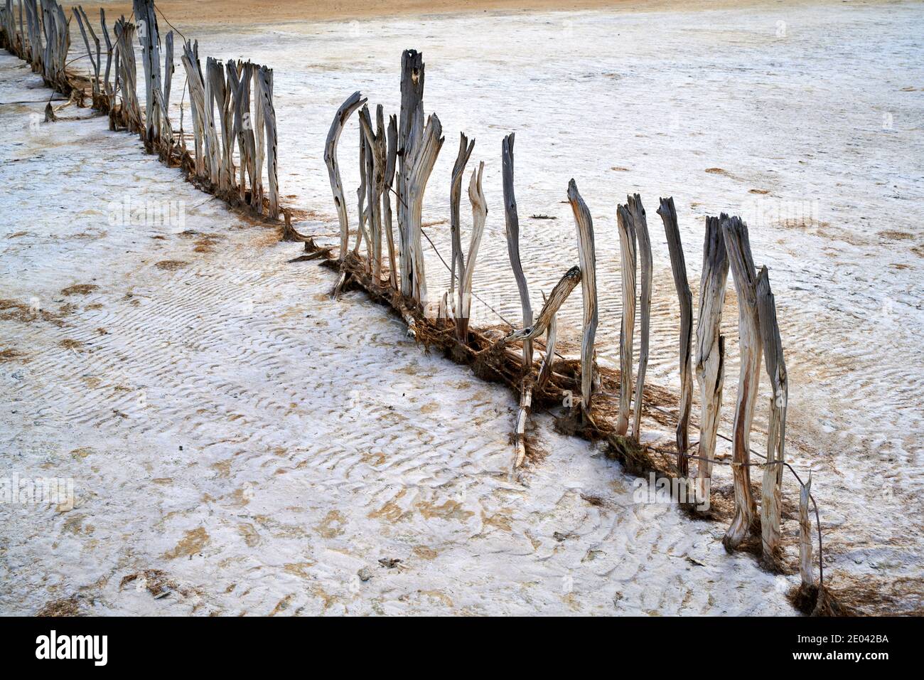 Remains of old wooden fence, The Coorong, South Australia. Stock Photo