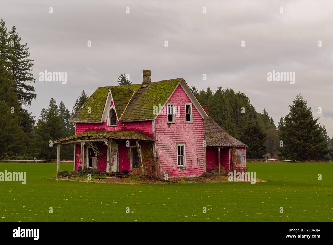An abandoned pink color house in a green field on cloudy autumn day