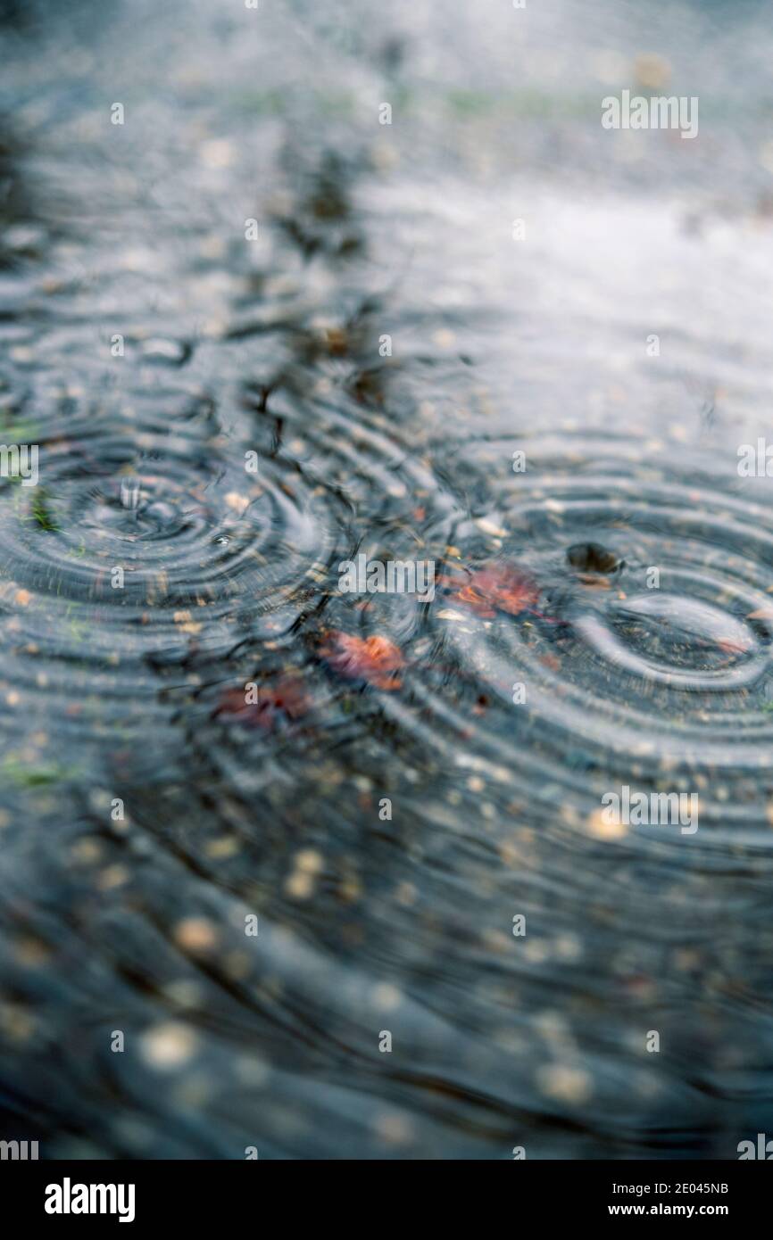 Raindrops falling onto puddle water hi-res stock photography and images ...