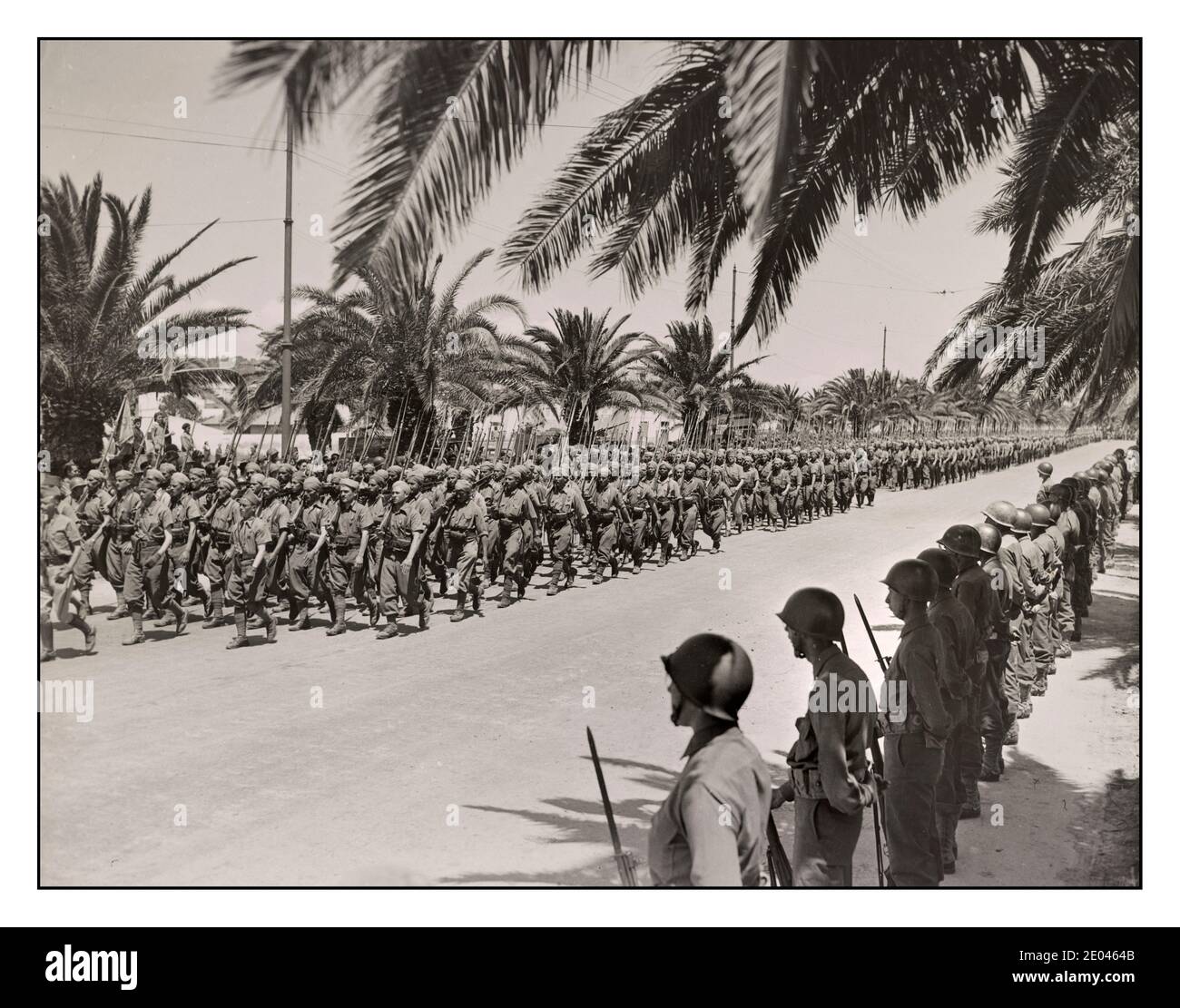 TUNIS 1943 WW2 North Africa Victory Propaganda Photo Tunis, Tunisia French soldiers marching in the allied victory parade along Avenue Gambetta. American soldiers standing at parade rest in the foreground. United States. Office of War Information. United States. Army. Signal Corps. 1943 May 20. -  World War, 1939-1945--Military personnel--French--Tunisia--Tunis -  Military parades & ceremonies--Tunisia--Tunis--1940-1950.              Axis ejected from North Africa 1943 Photo by Jack Collins for the U.S. Army Signal Corps. Stock Photo