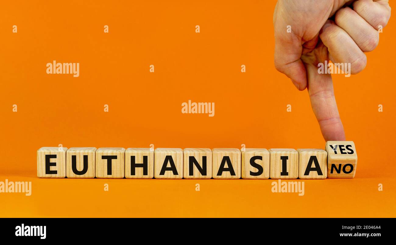 Euthanasia yes or no symbol. Male hand turns cubes and changes words