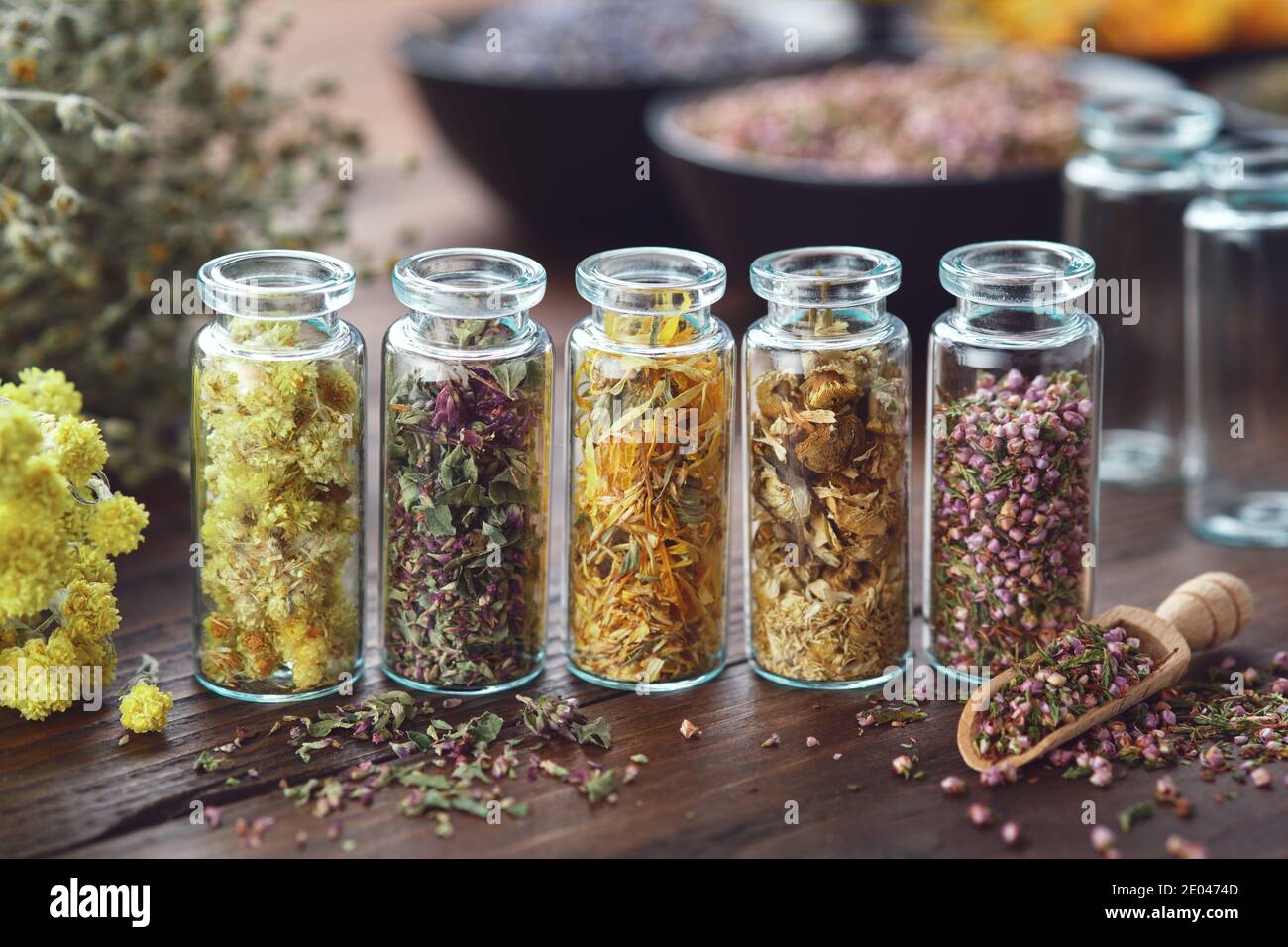 Glass bottles of medicinal herbs - helichrysum, wild marjoram; calendula, daisies, heather,  bunches of dry plants, bowls of herbs on background. Alte Stock Photo