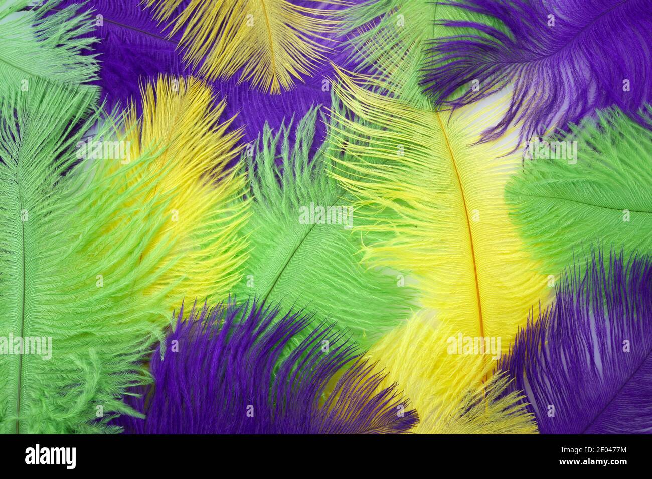 Mardi gras color feathers background. Nature patern Stock Photo - Alamy