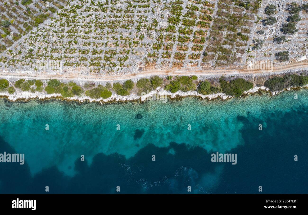 Vineyards by the sea in Dalmatia from above Stock Photo