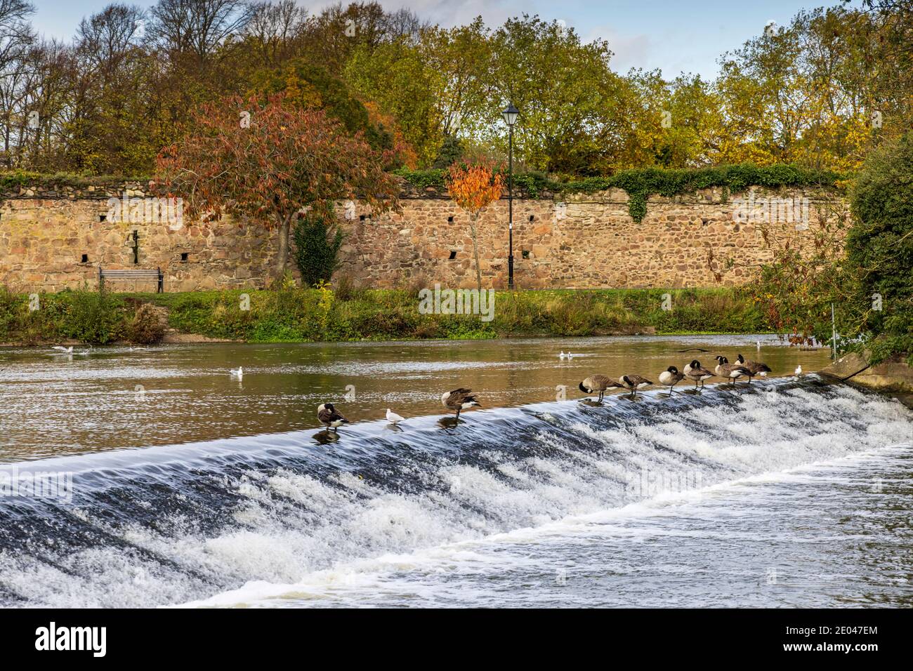 The weir on the River Soar at Abbey Park, Leicester, England, Uk Stock Photo