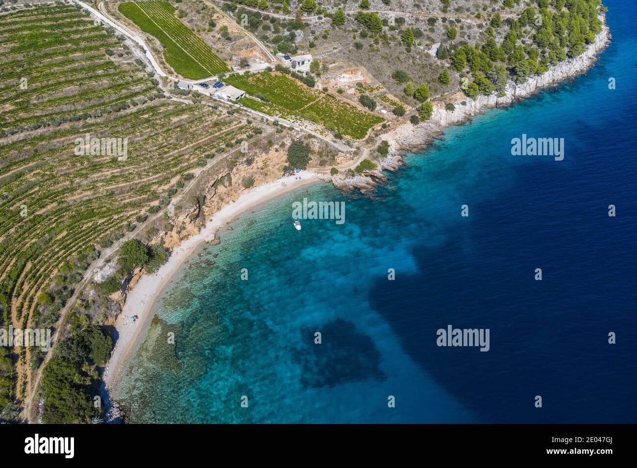 Beach with vineyard in island Brac Stock Photo