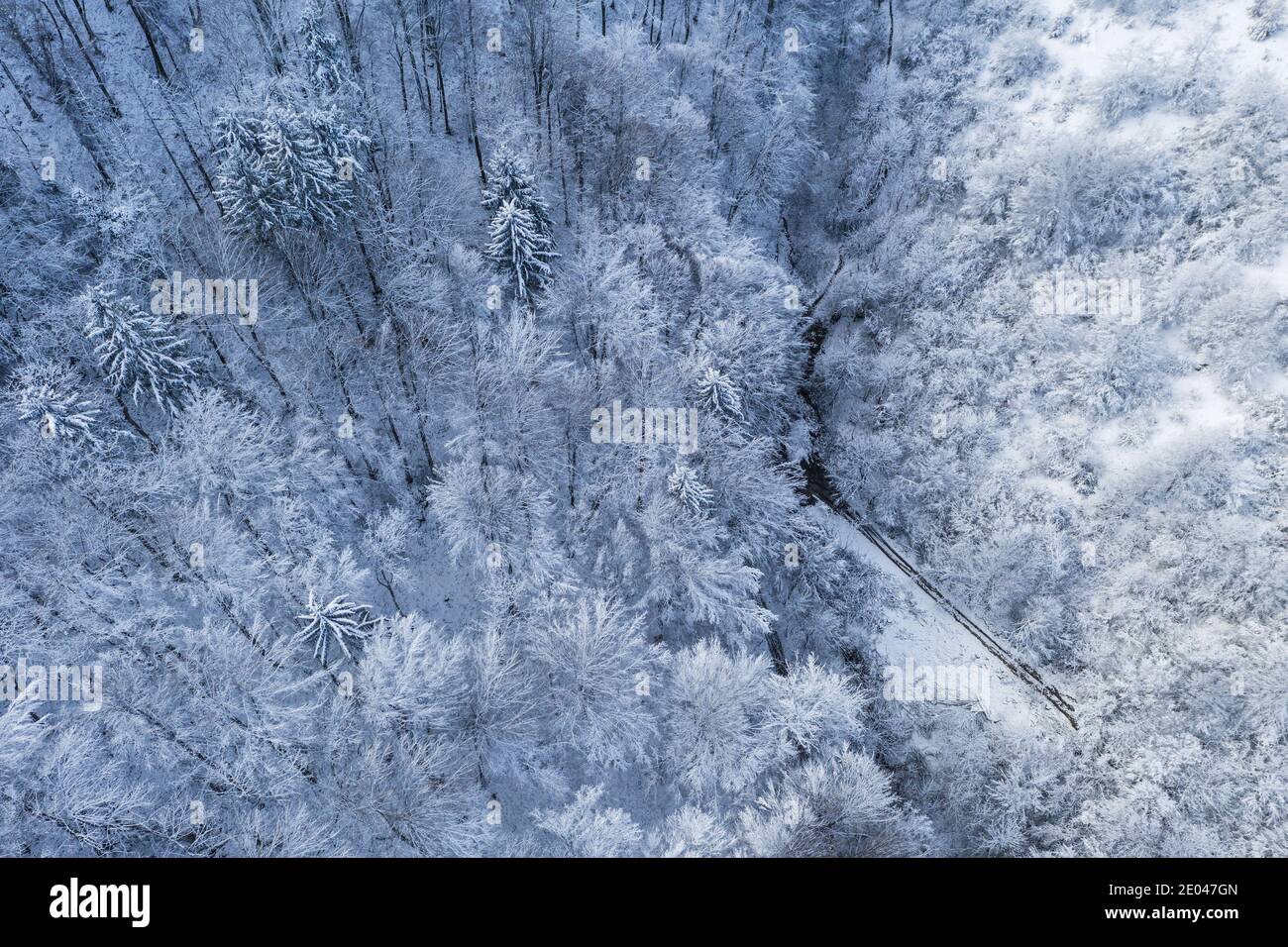 Frozen forest in winter from above Stock Photo