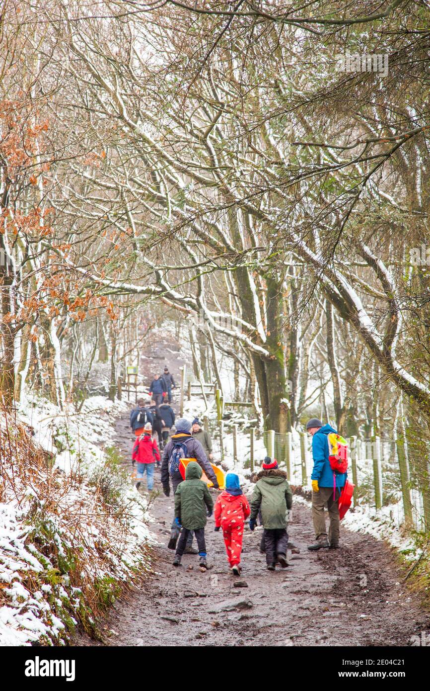 People families and children walking along a path in snow covered woodland  in the winter on Bosley Cloud near Congleton Cheshire England UK Stock Photo