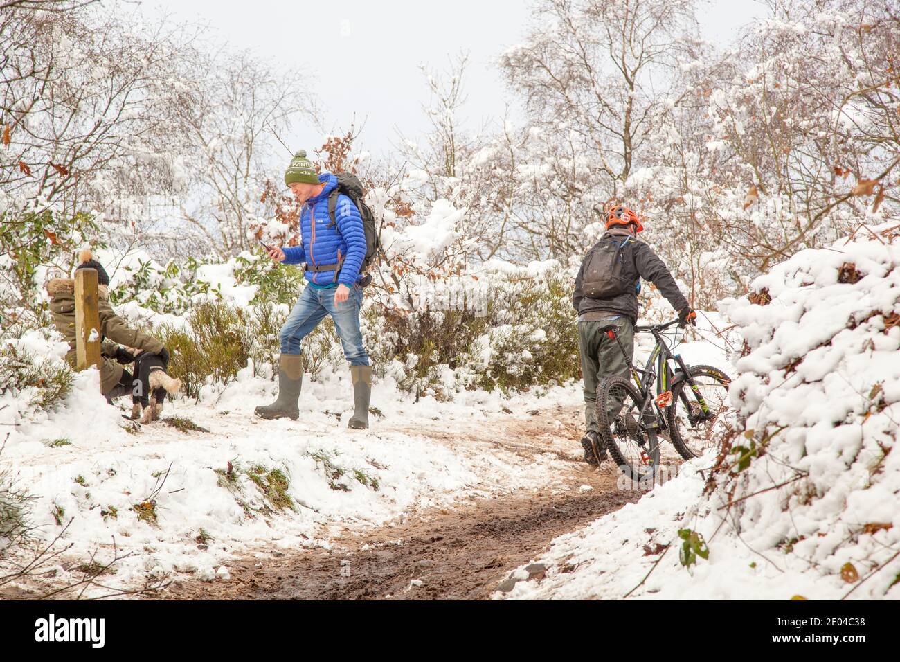 People enjoying walking and cycling in snow covered woodland  in winter on Bosley Cloud near Congleton Cheshire England UK Stock Photo