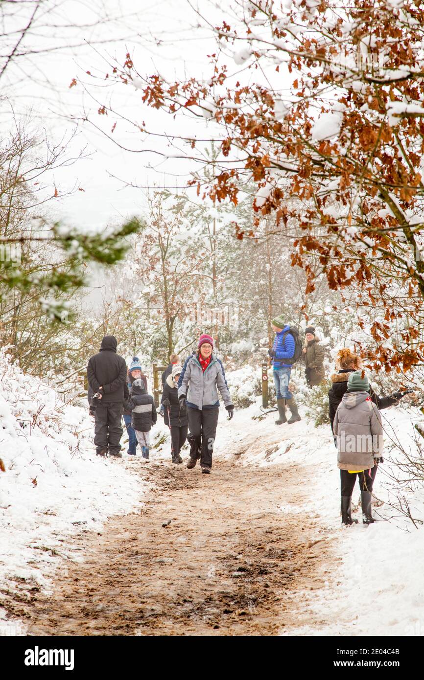 People walking along a path in snow covered woodland  in winter on Bosley Cloud near Congleton Cheshire England UK Stock Photo