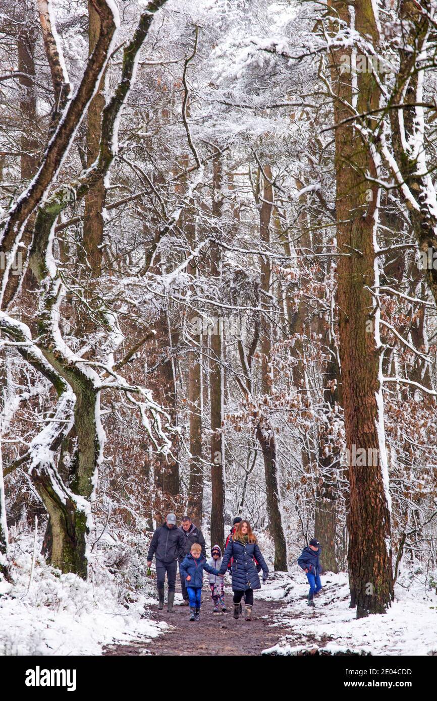People families and children walking along a path in snow covered woodland  in winter on Bosley Cloud near Congleton Cheshire England UK Stock Photo