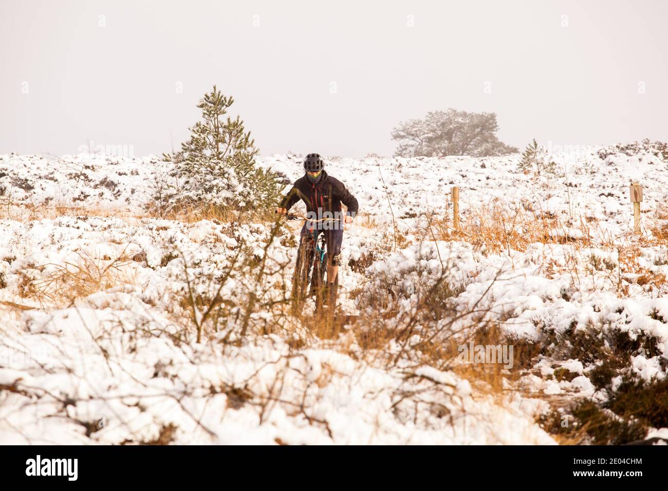 Man riding a mountain bike on snow covered  Bosley Cloud near Congleton Cheshire in winter England UK owned by the national trust Stock Photo