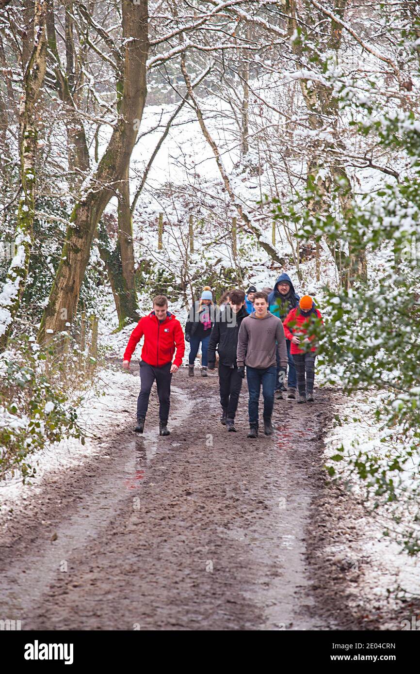 People families and children walking along a path in snow covered woodland  in winter on Bosley Cloud near Congleton Cheshire England UK Stock Photo