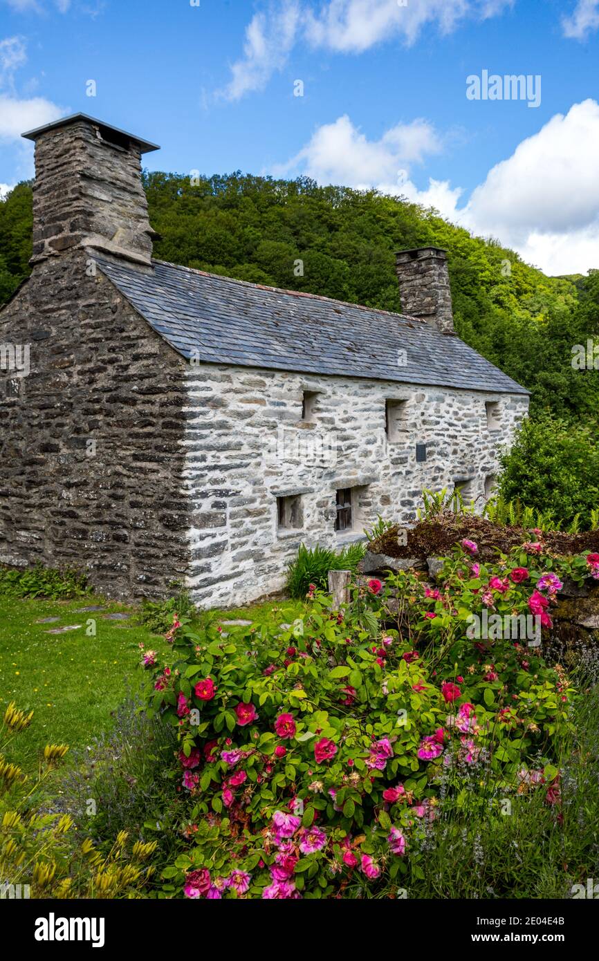 Ty Mawr Wybrnant is a stone cottage in Wales, and the  birthplace of Bishop William Morgan, the first translator of the Bible into Welsh. Stock Photo