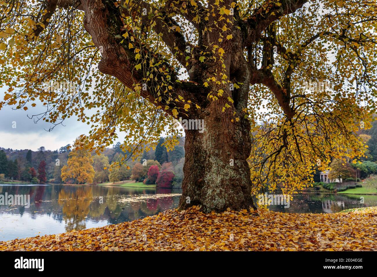 Lakeside scene in autumn at Stourhead in Wiltshire, England. Stock Photo