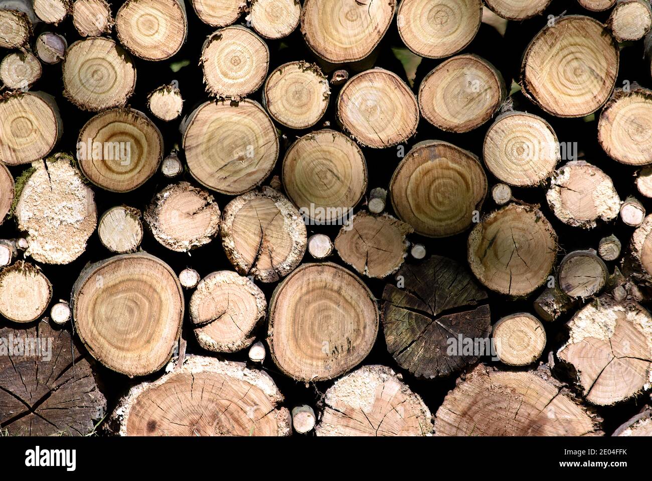 Firewood stack chopped hi-res stock photography and images - Alamy