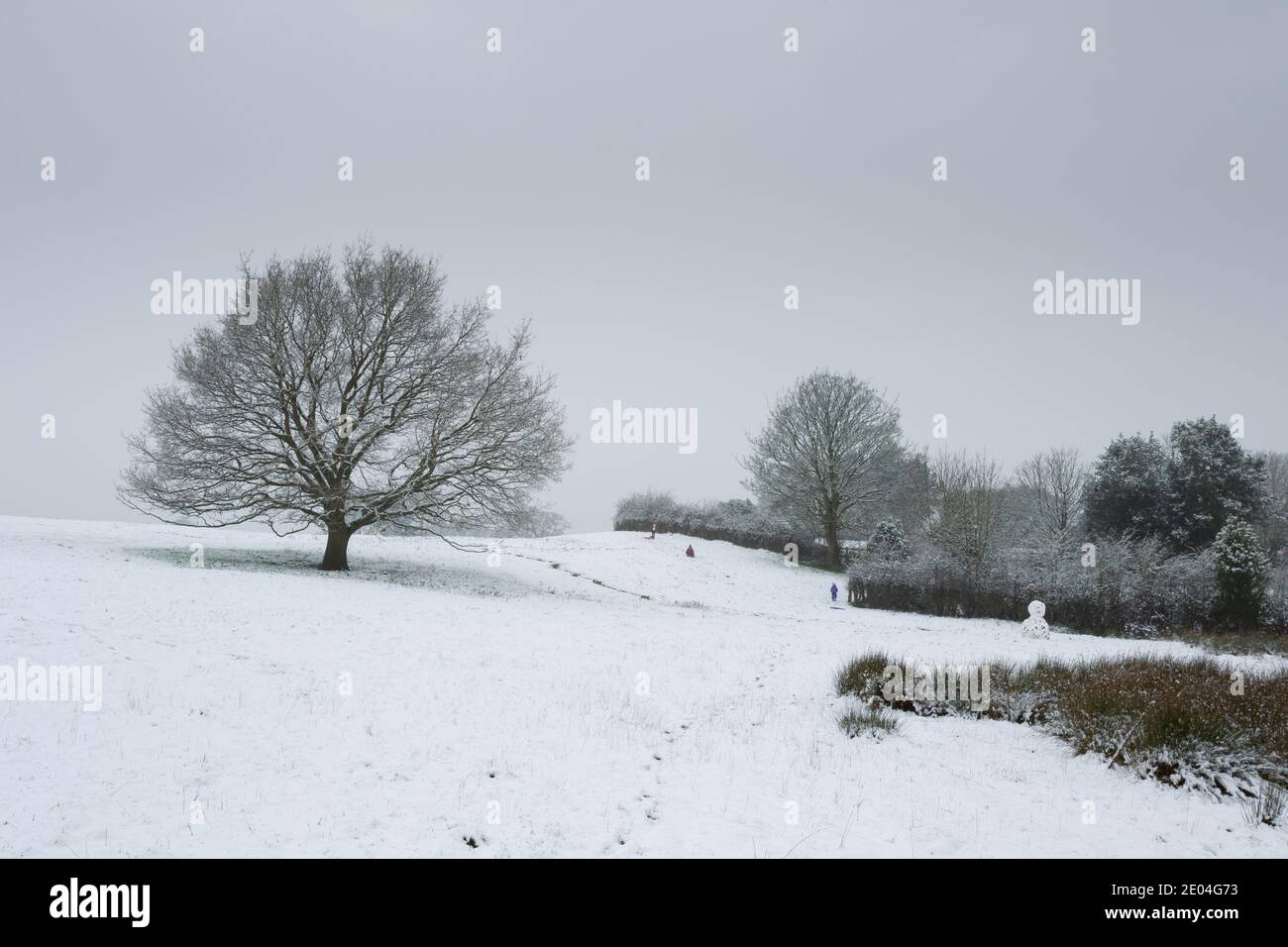 Sledge sledging hi-res stock photography and images - Alamy