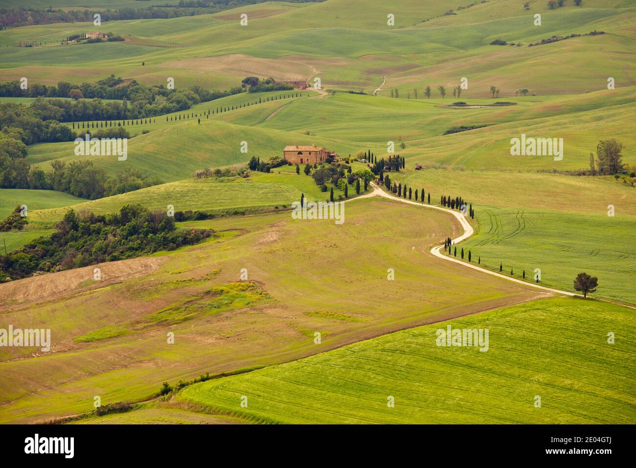 Typical Tuscan landscape in Italy Stock Photo - Alamy