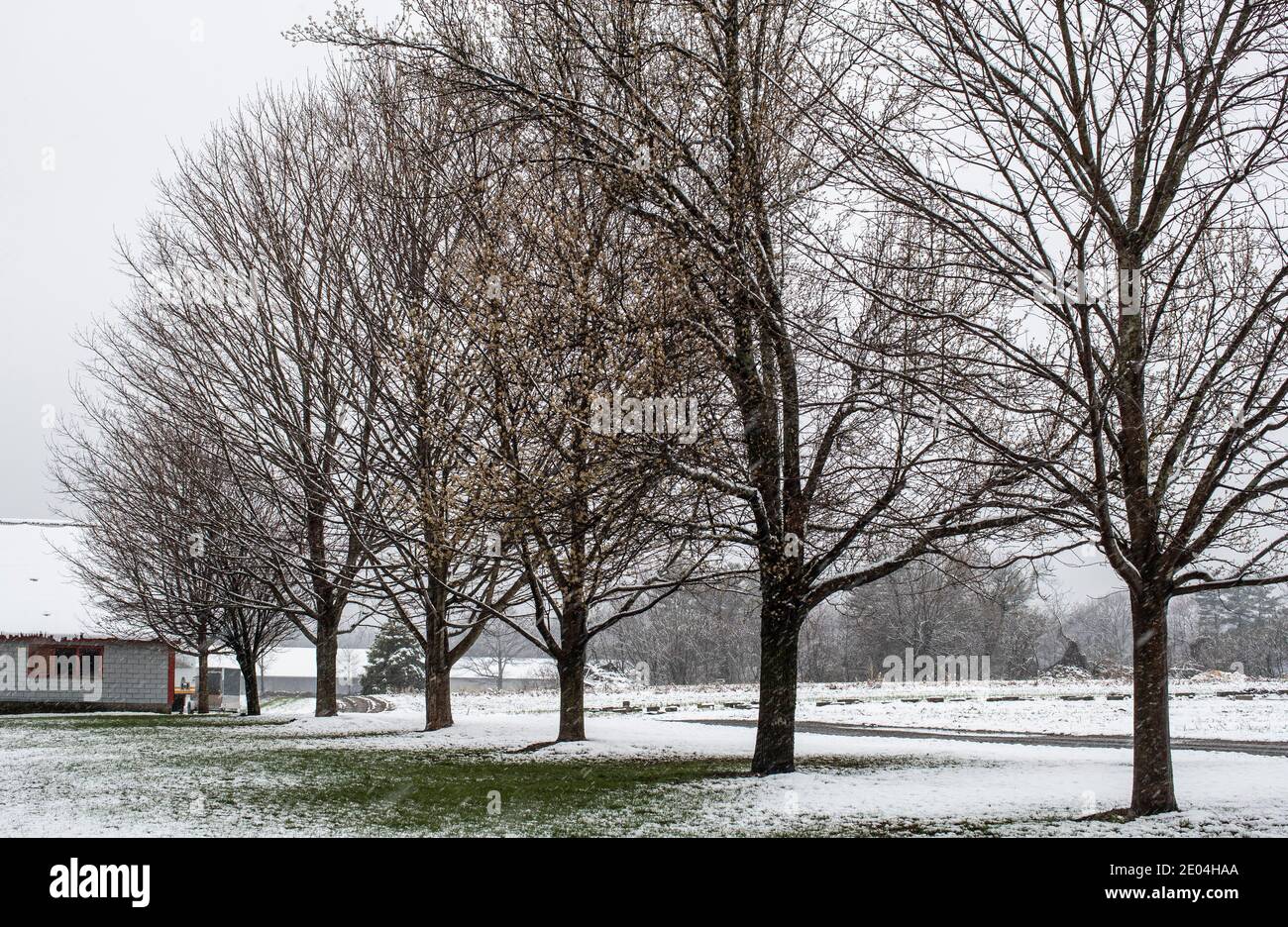 Hollis is located in Southern NH on Massachusetts border. It's a