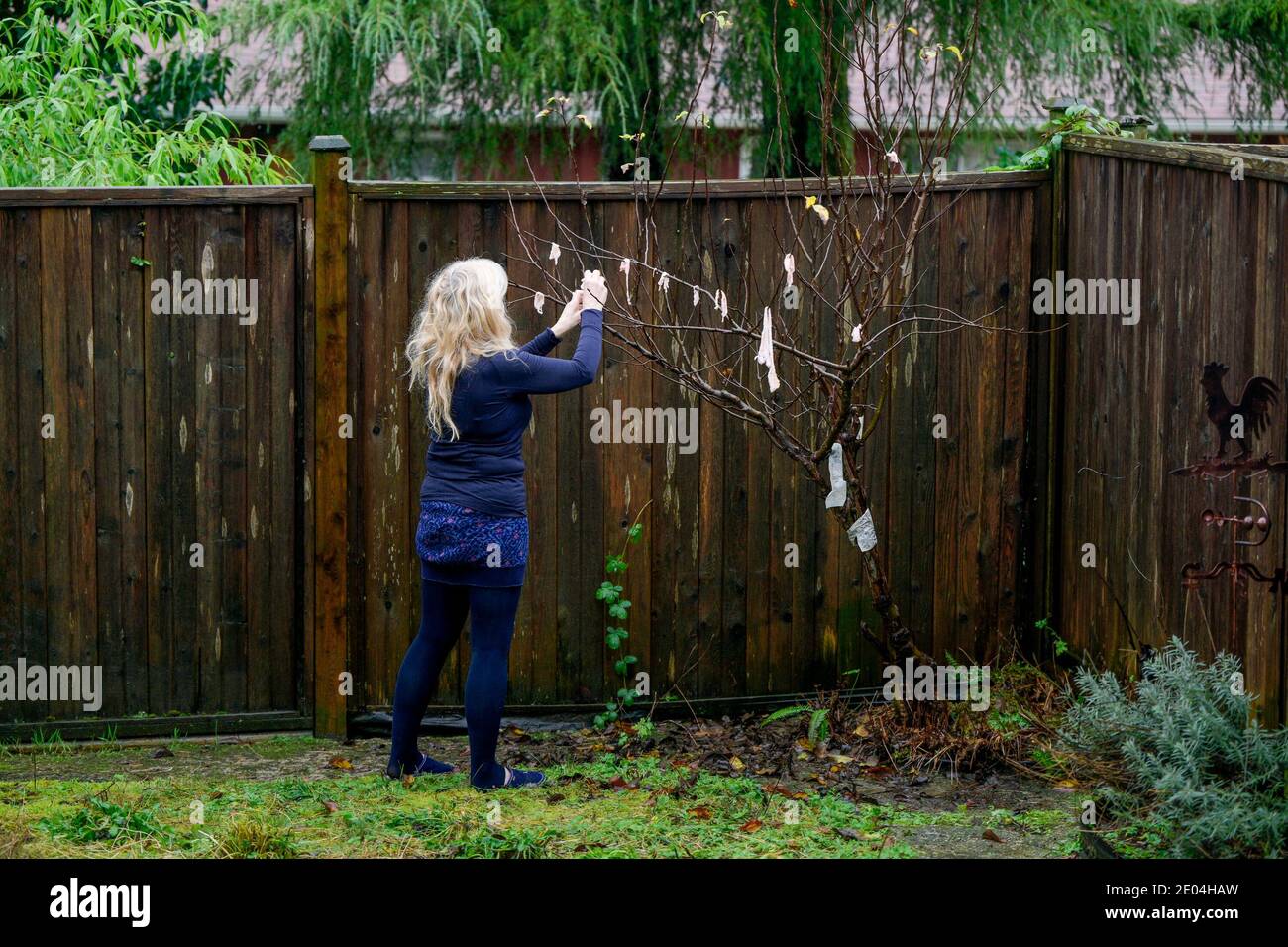 Bacon fat bird hires stock photography and images Alamy