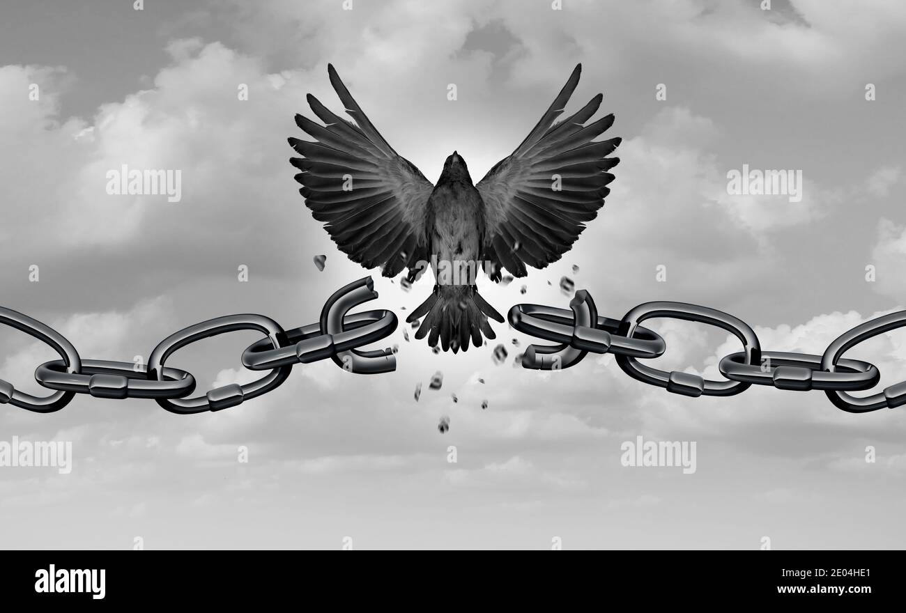 Freedom metaphor as a symbol of liberty and as a concept of chains breaking as bird wings breaking free with 3D illustration elements. Stock Photo