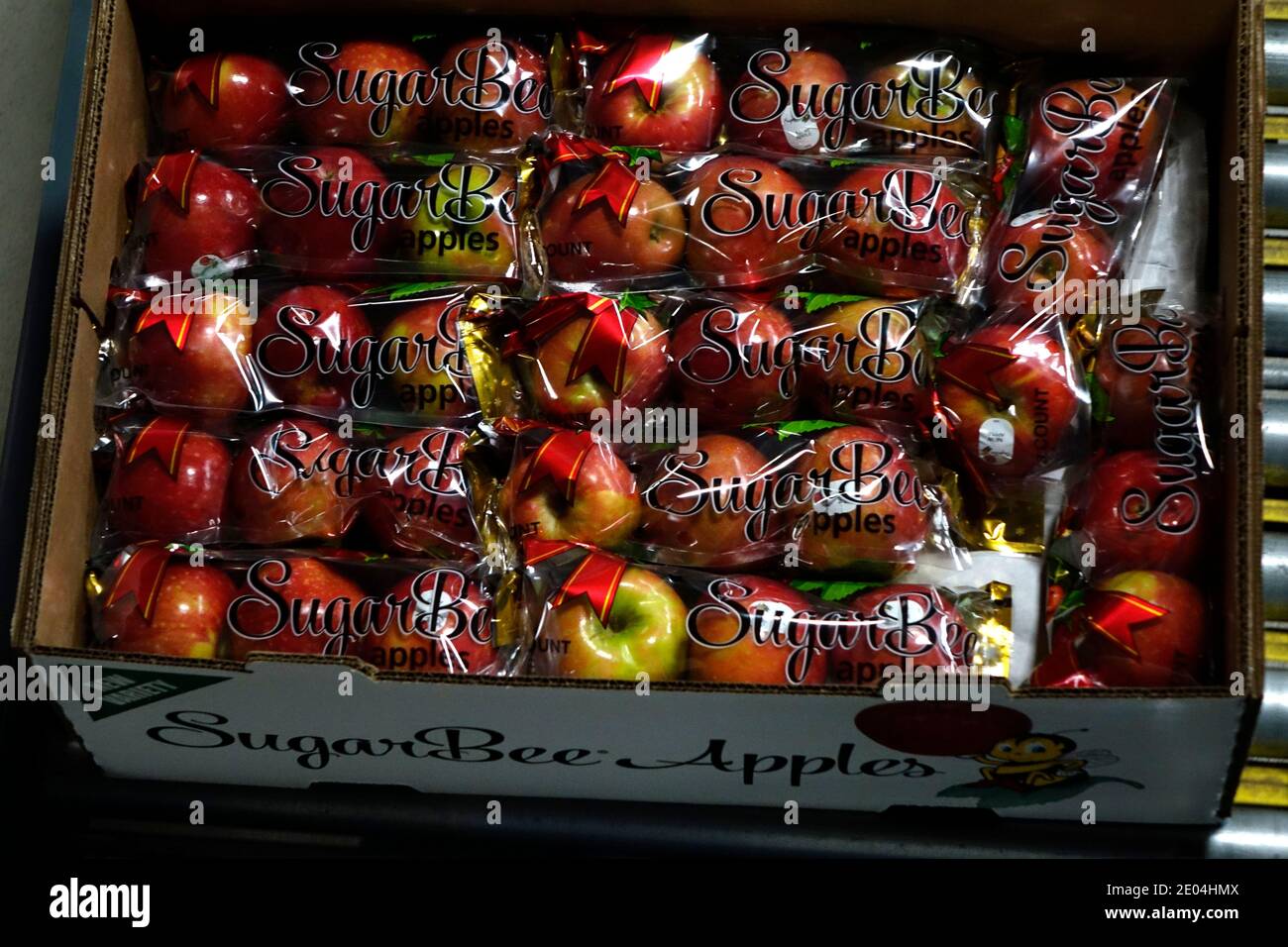 SugarBee apples are grown in the elevated orchards of Washington State