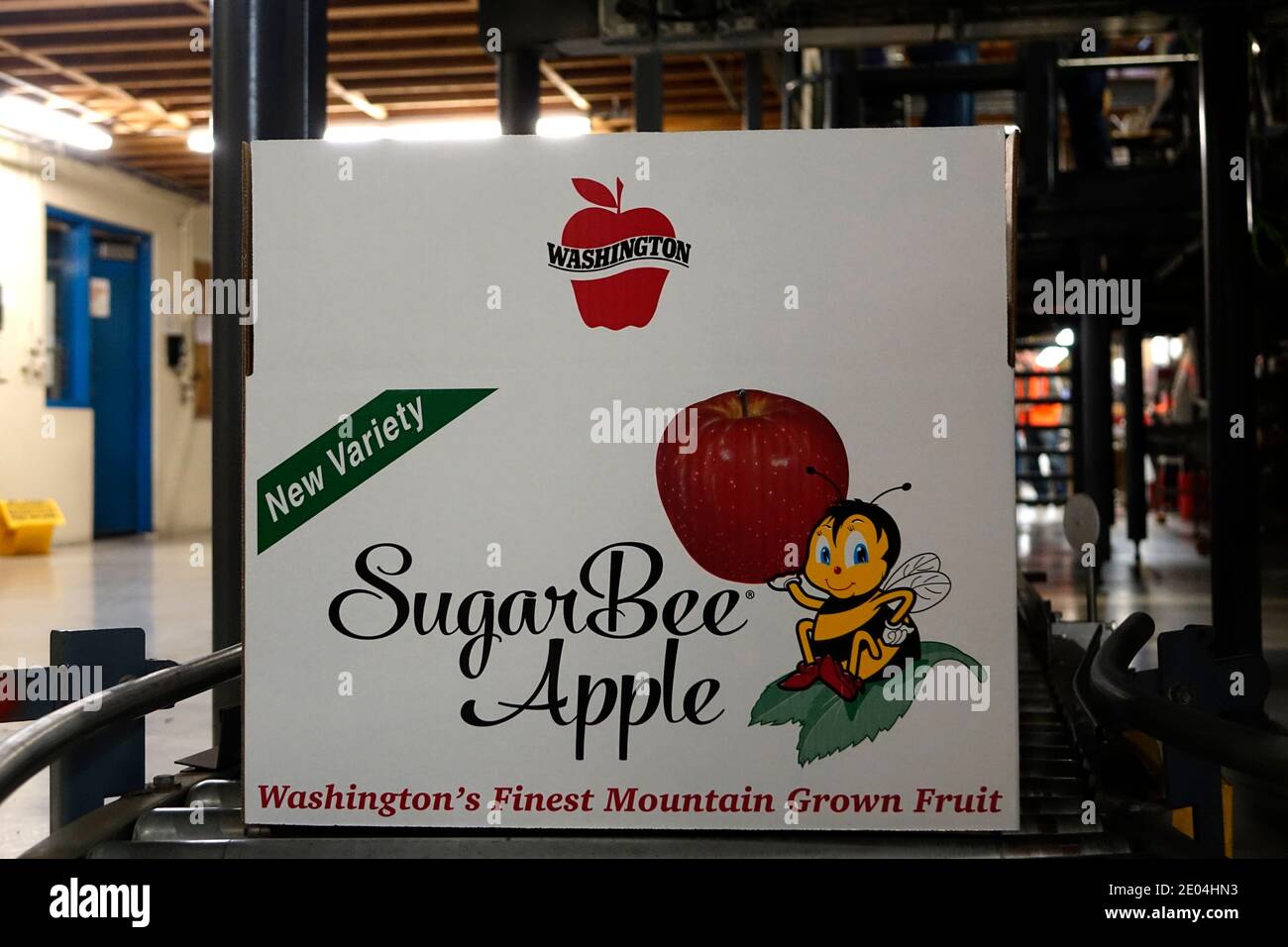 SugarBee apples are grown in the elevated orchards of Washington State. It  is a cross-pollinated apple between a Honeycrisp and another unknown variet  Stock Photo - Alamy