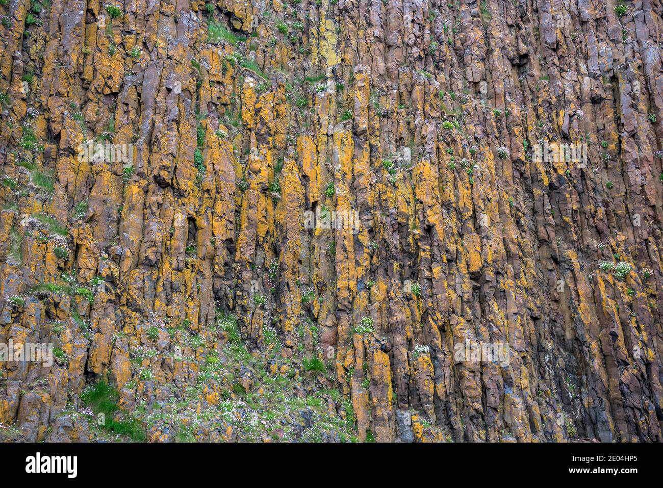 Detail of a vertical basalt coastal cliff. Natural background Stock Photo