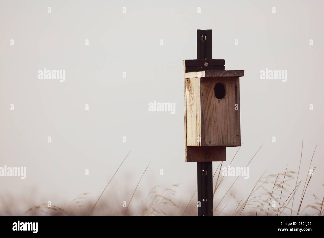 A bird feeder stands alone Stock Photo Alamy