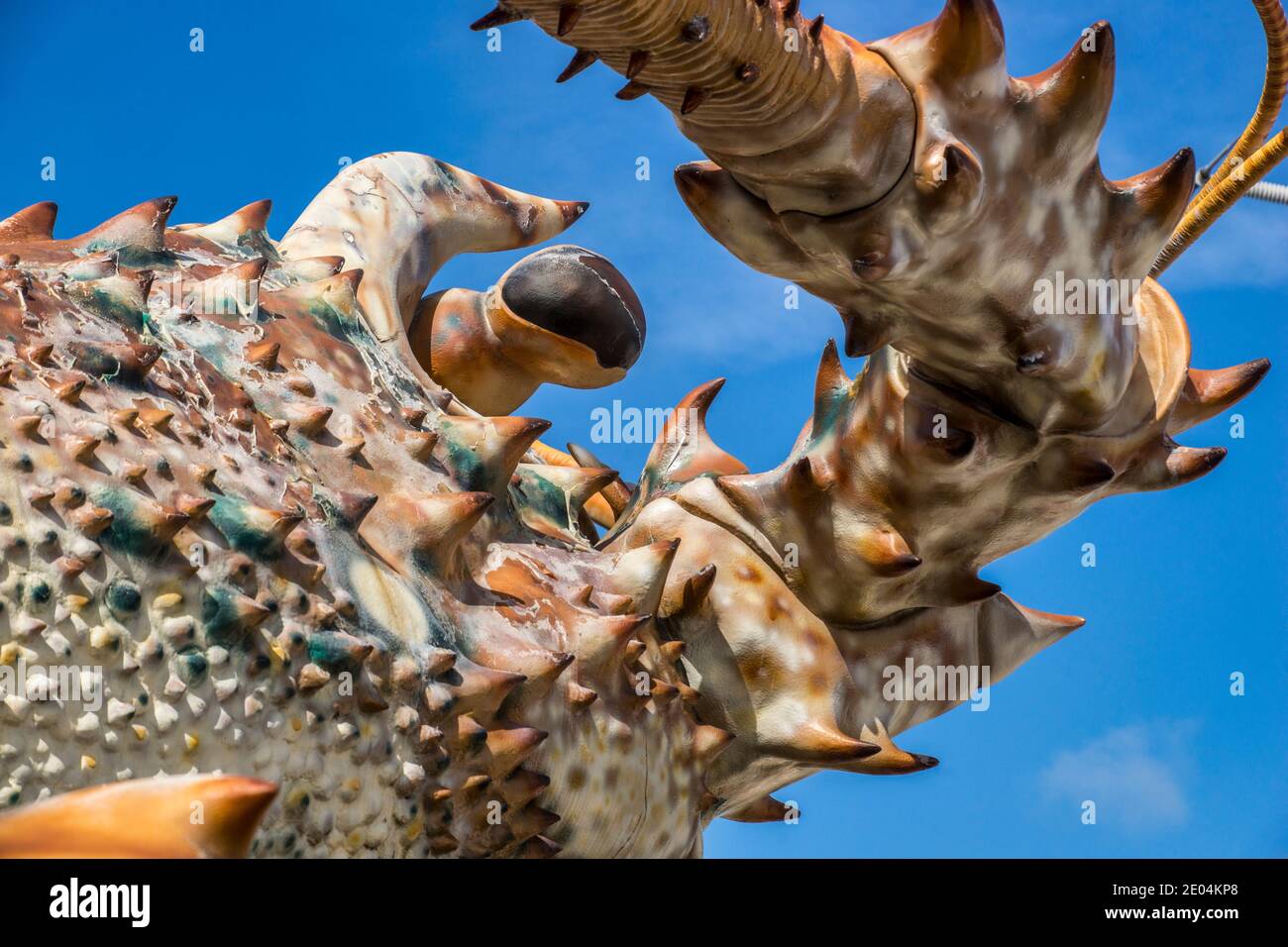 Giant lobster statue florida keys hires stock photography and images Alamy