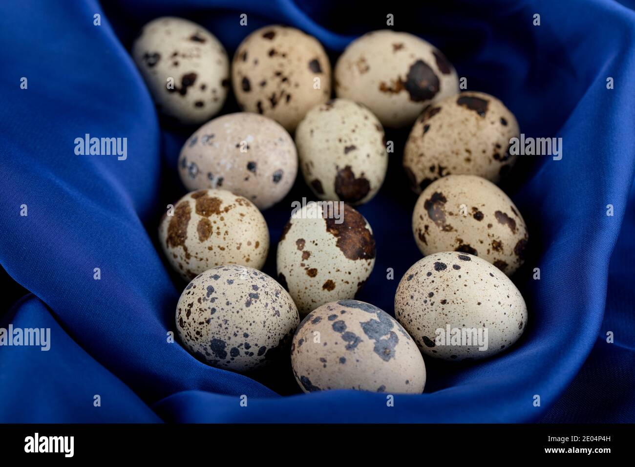 Fresh farm quail eggs on blue sateen cloth Stock Photo