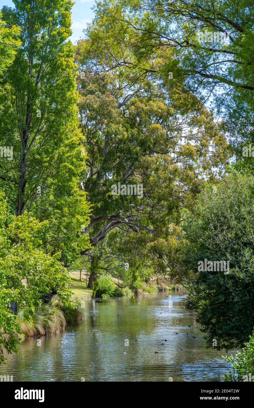 Riverside of Avon river in Christchurch, New Zealand Stock Photo Alamy