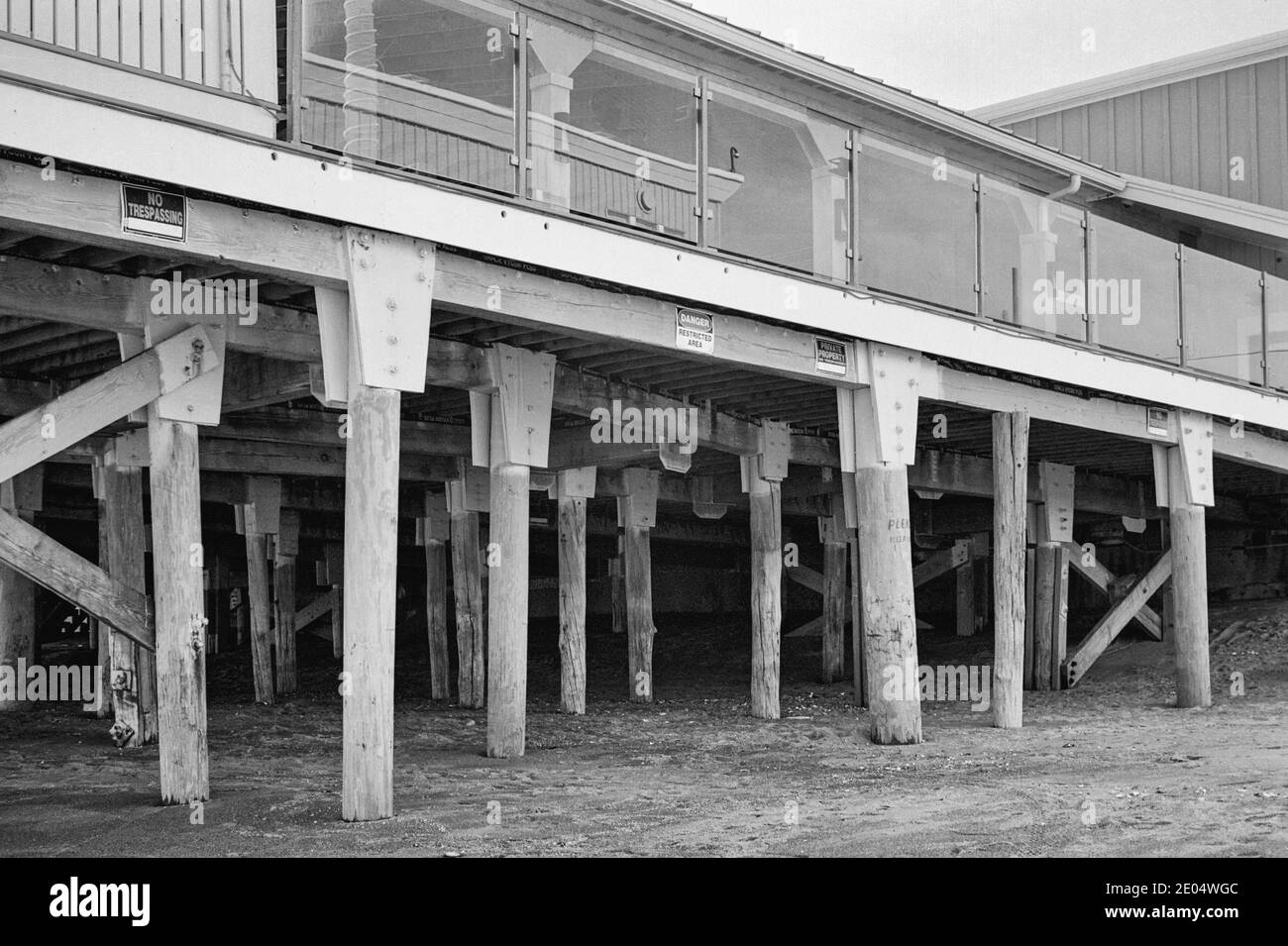 A forest of timbers visible during low tide under the Blue Ocean Music