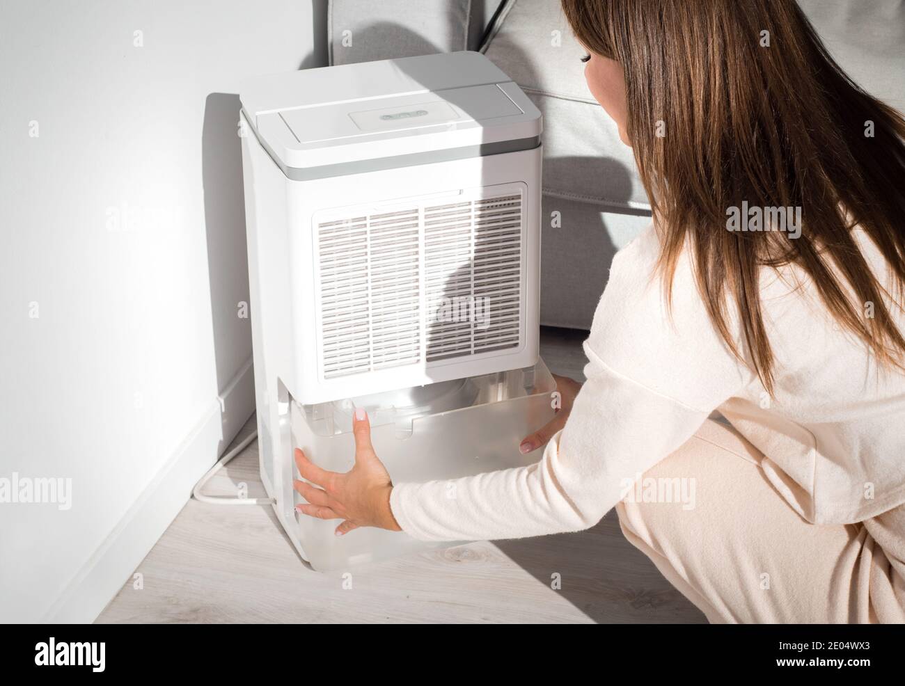 Woman changing water container in air dryer, dehumidifier, humidity indicator. Humid air at home. Fresh air at home. Stock Photo