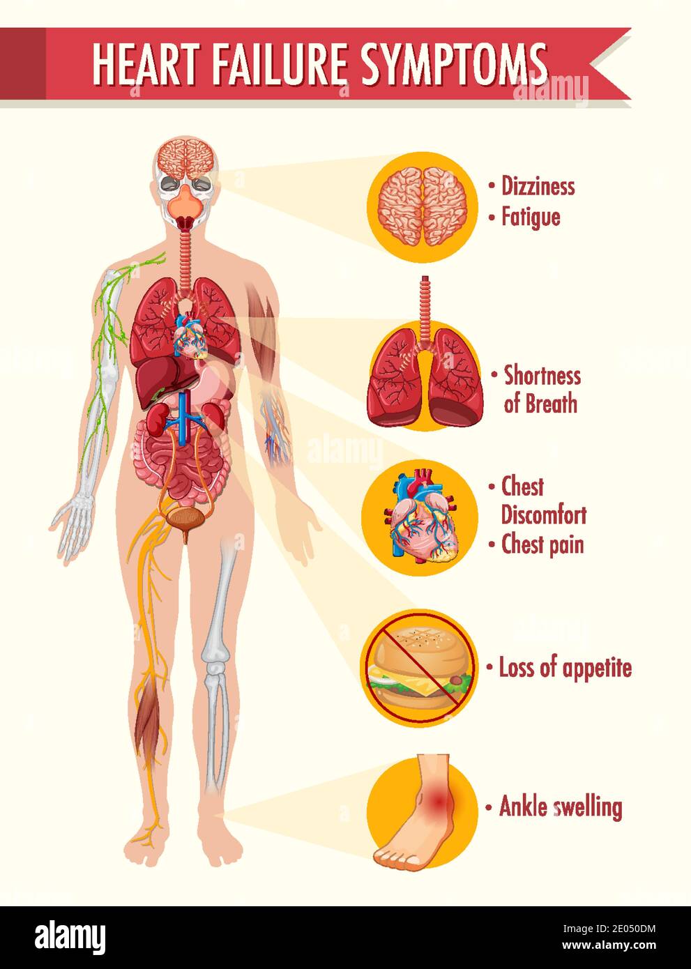 Chest swelling hires stock photography and images Alamy