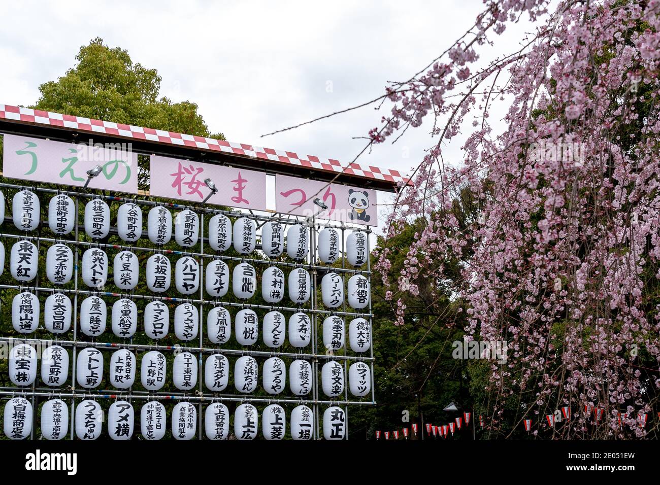 Tokyo, Japan - March 21, 2019: Sake barrels (kazaridaru) and cherry blossom at Ueno Park in Tokyo, Japan. Stock Photo