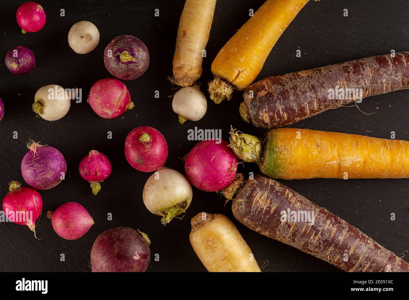 A colorful assortment of root vegetables (carrots, beetroots, turnips) arranged on black background in a stylish way. A versatile image for vegan fibe Stock Photo